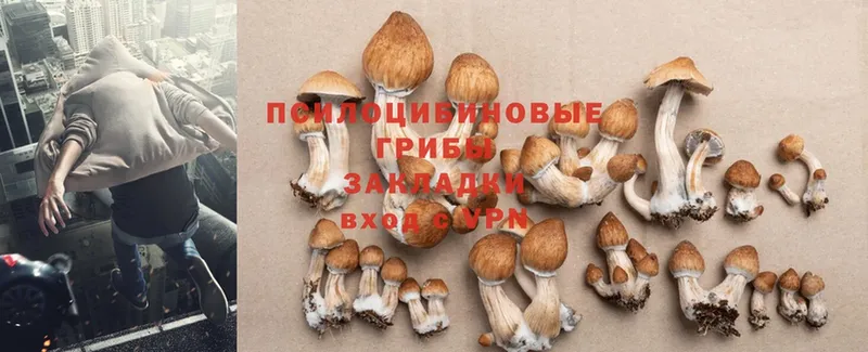 Галлюциногенные грибы Magic Shrooms  хочу   Киреевск 